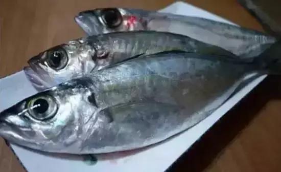 海南,热带天堂的生态与文化交响曲